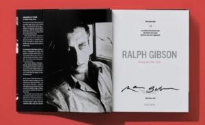 Libri-oggetto: viaggio tra 10 nuove uscite che trasformano le immagini in esperienze da sfogliare