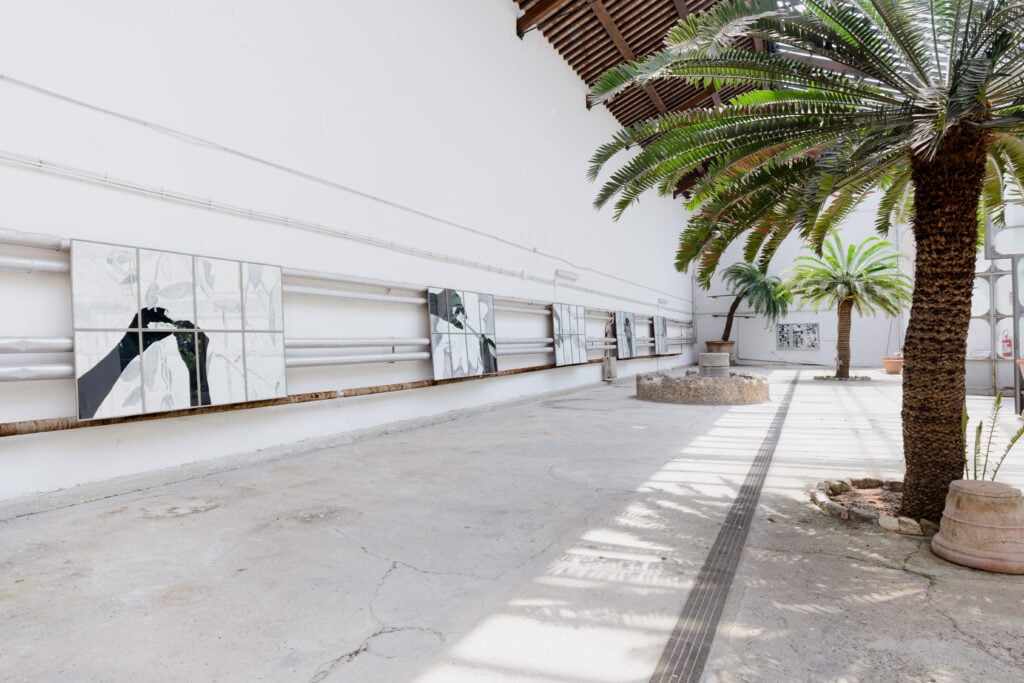 Trasformare l’impollinazione in arte. Un artista ci prova nella serra di un giardino di Firenze 