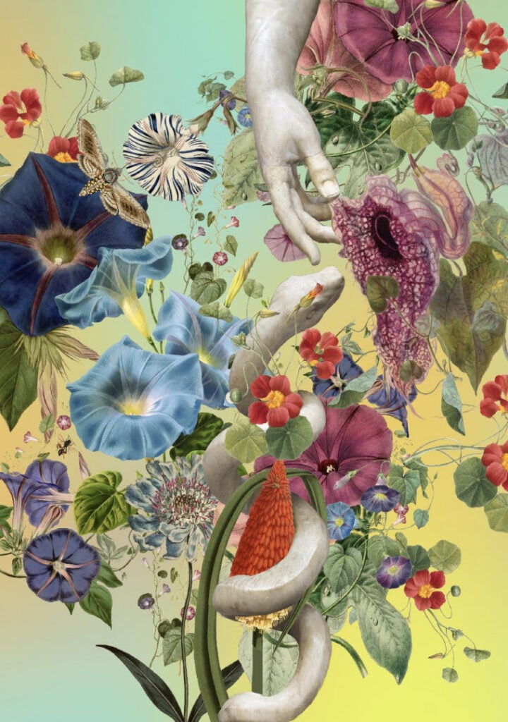 Austin Young (Fallen Fruit) – Beauty! 