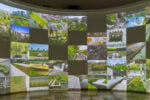 Mostra Internazionale di Architettura di Venezia. Padiglione Germania, Giardini. Ph Irene Fanizza