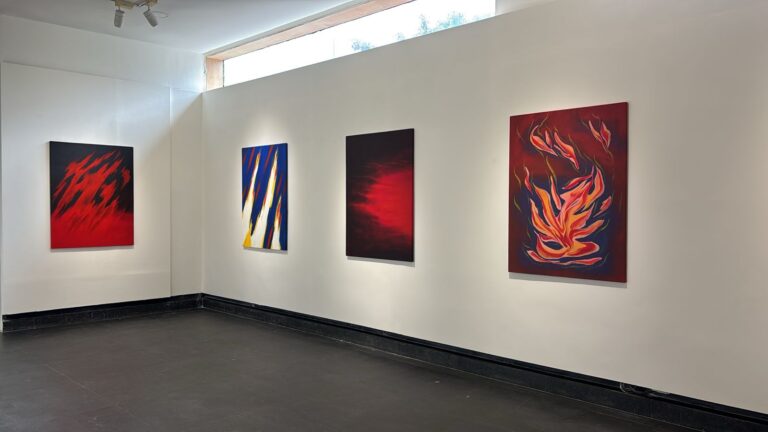 Roberto Rup Paolin, Jyot, installation view