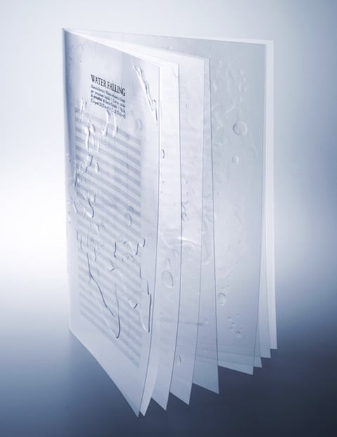 Manuela Bertoli / Davide Masciandaro – ……..E io tra di voi