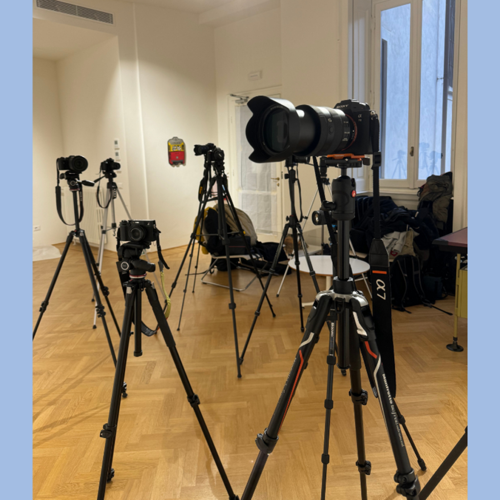 Geraldina Bassani Antivari – Insenature