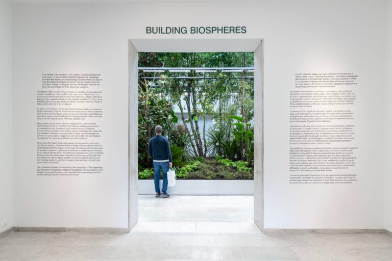 19. Mostra Internazionale di Architettura di Venezia. Padiglione Belgio, Giardini. Ph Irene Fanizza