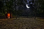 4low La storia del noceto in Abruzzo che ospita le opere di arte contemporanea
