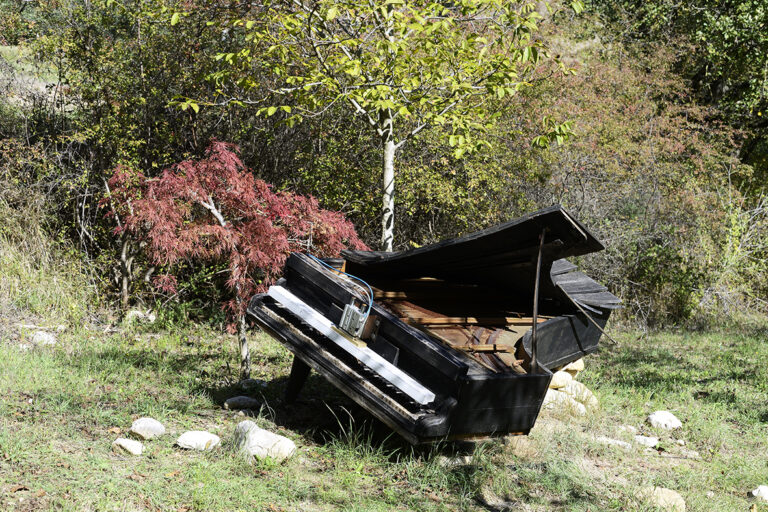5low La storia del noceto in Abruzzo che ospita le opere di arte contemporanea