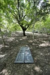 7low La storia del noceto in Abruzzo che ospita le opere di arte contemporanea