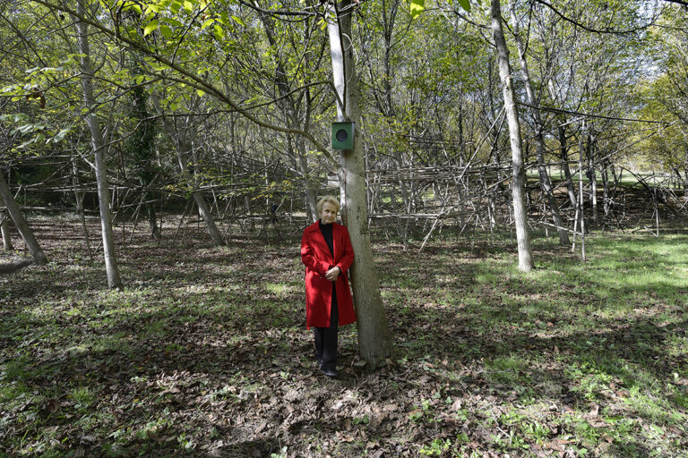 9low La storia del noceto in Abruzzo che ospita le opere di arte contemporanea