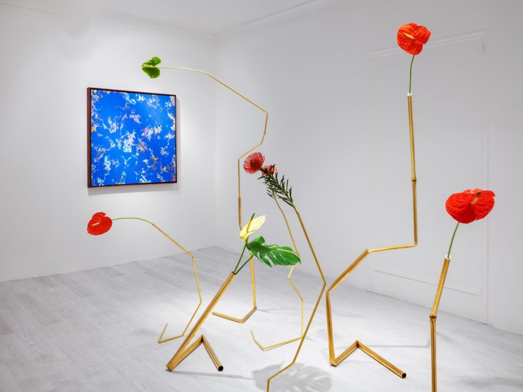 A Venezia molte gallerie d’arte vengono dalla Francia. Ecco le loro mostre dell’autunno 2025