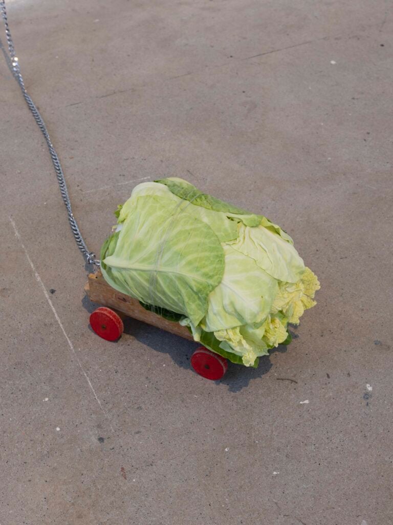 Biennale di Berlino 13, 2025. Installation view