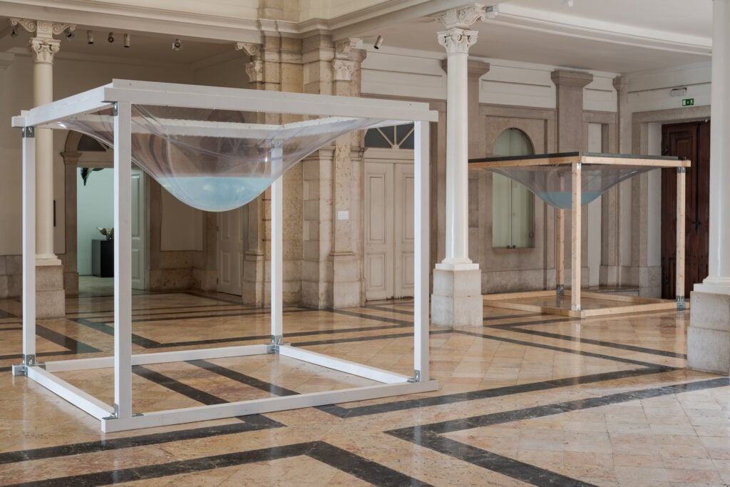 L’artista italiano Marco Fedele di Catrano trasforma il Museo di Scienze e Storia Naturale di Lisbona in un organismo vivo