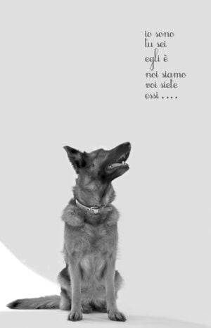 Cesare Fullone / Cesare Pietroiusti - Un Manifesto senza Dimensioni