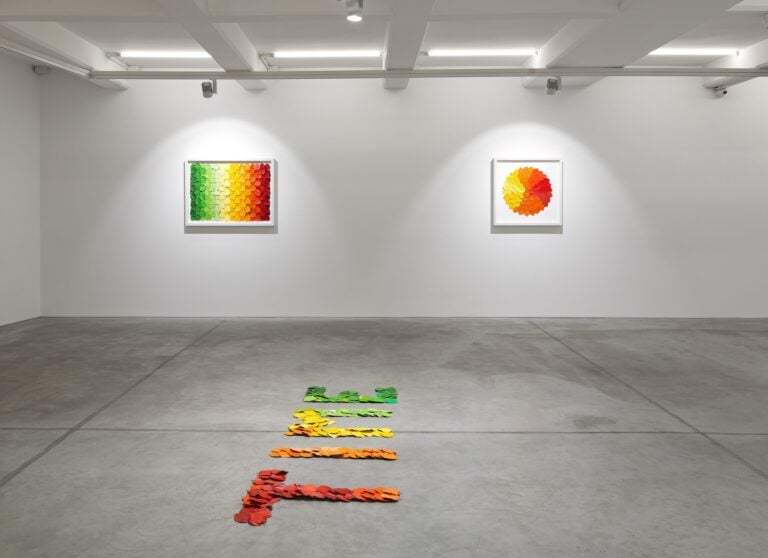 Daniele Sigalot, installation view, Istanbul, 2025 1