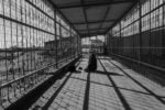 fabio bucciarelli occupied territories 9 Cosa sta accadendo realmente a Gaza? Intervista al fotogiornalista Fabio Bucciarelli