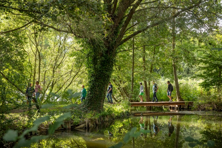 Francia. Amiens Festival international de jardins ©yannmonel