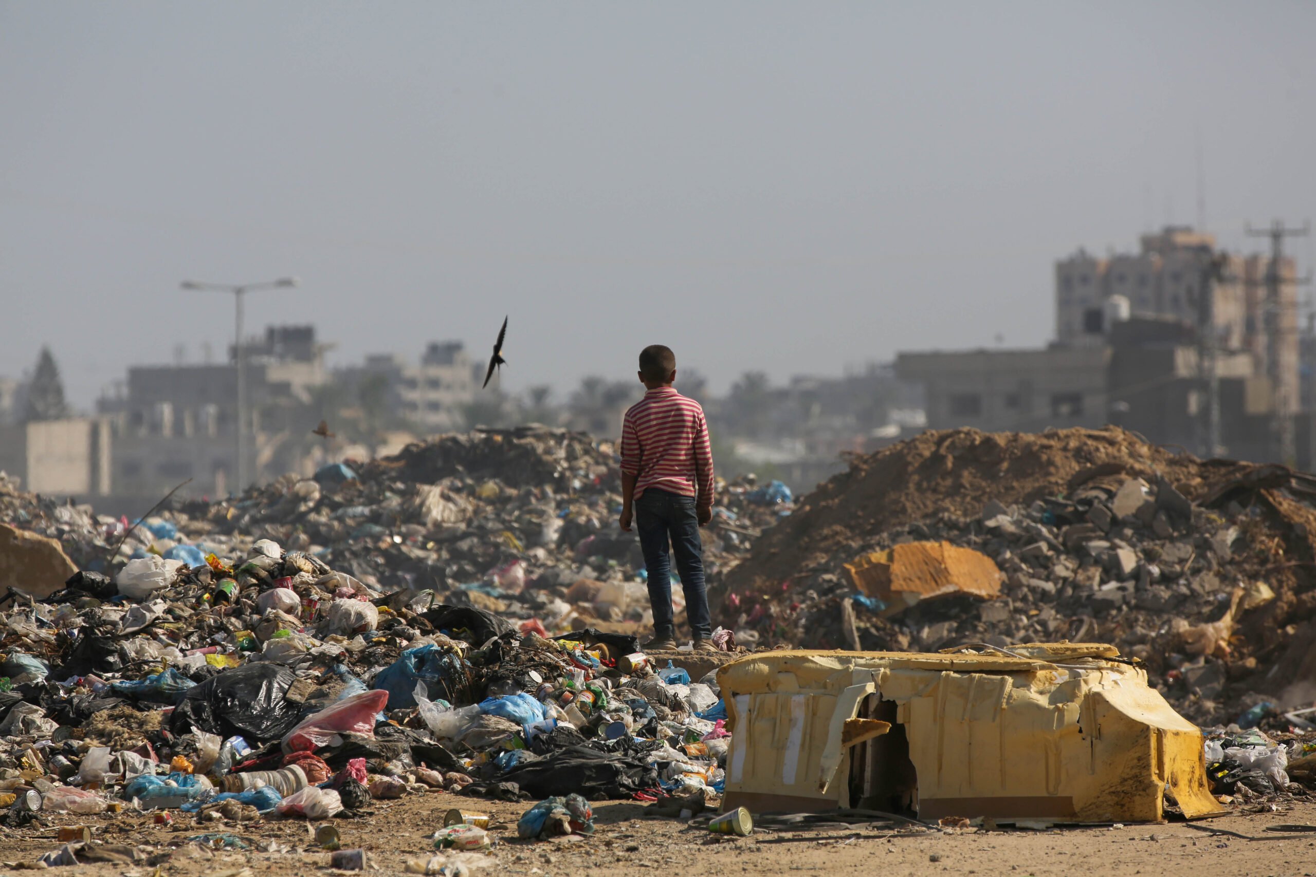 Gaza a través de sus ojos
