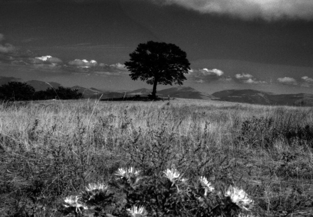 Natura, psicanalisi e introspezione con Giorgio Cutini ad Ancona 