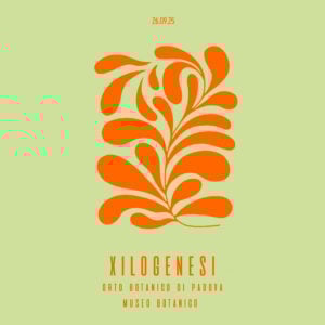 Xilogenesi