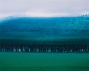 Michio Kurose - Mosir-Paesaggi Silenti
