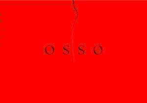 Fabian Herkenhoener - Osso