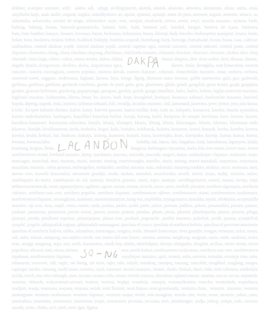 Nina Carini, “Lacandon” partitura di “Le cose in pericolo” apparsa sul catalogo “Aperçues” (Allemandi, 2023)