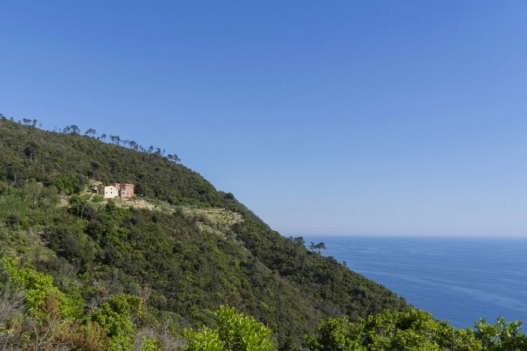podere lovara punta mesco spfoto davide marcesini2025 c fai fondo per lambiente italiano Domenica 7 settembre 2025 in Italia è la Giornata del Panorama del FAI. Tutti gli appuntamenti e il programma