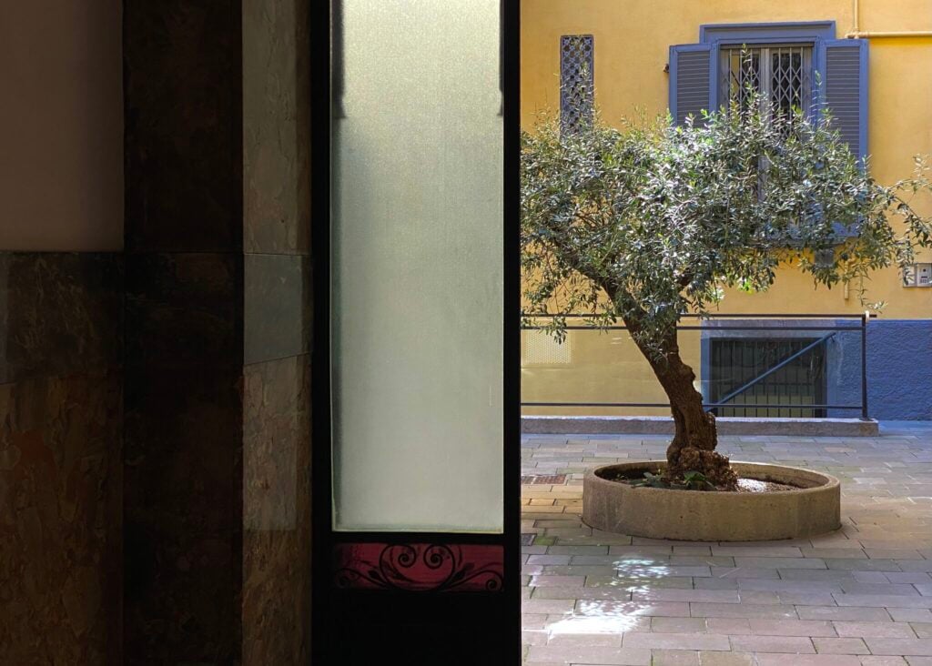 Clovis Bataille – Through skin and bones