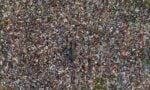 Toxic tip, Suggerimento tossico ∏ Lakshitha Karunarathna, Wildlife Photographer of the Year