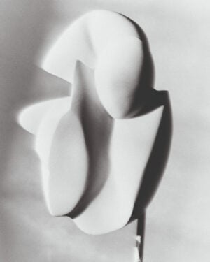 Federico Lemoine - mise en abyme