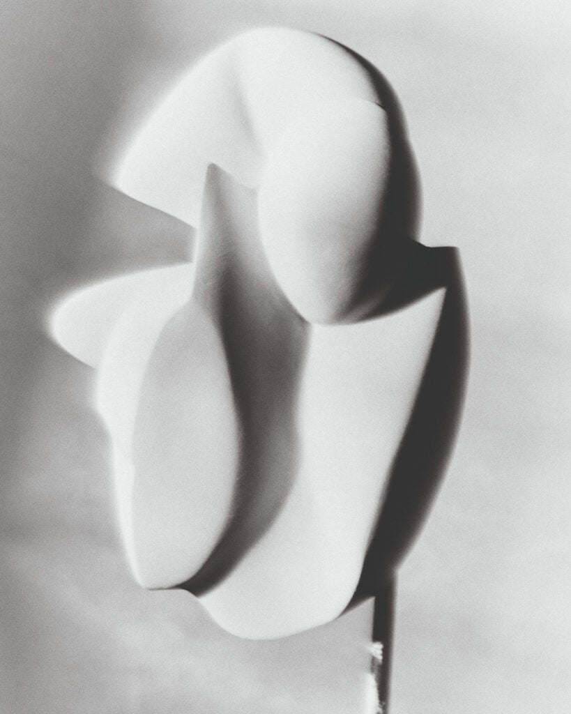 Federico Lemoine – mise en abyme