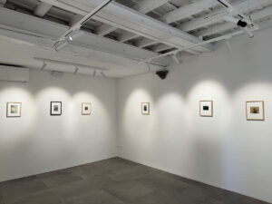 Juliette Wayenberg - Grete (Wykofer)