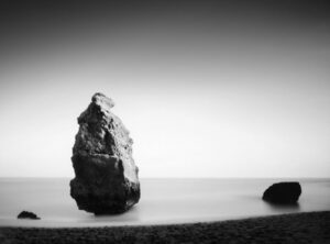 Francesco Bosso - Timeless roots