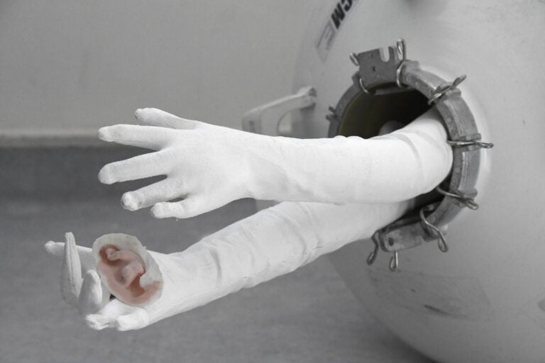 Esperimenti d’artista a Parigi: la mostra di Arianna Carossa in un laboratorio scientifico