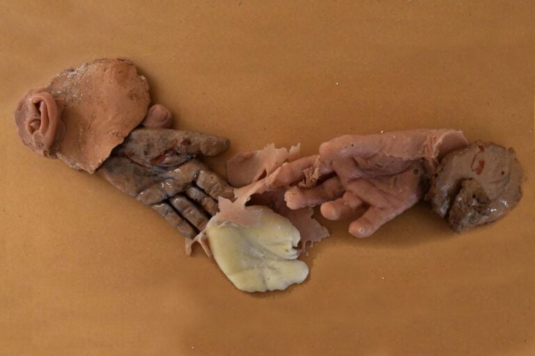 Arianna Carossa, Articolazione del vecchio piacere