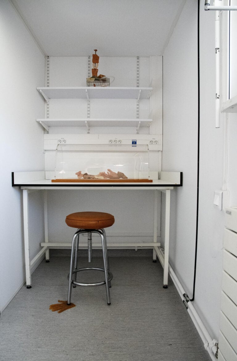 Arianna Carossa, Destiny, installation view, Istituto Pasteur, Parigi, 2025