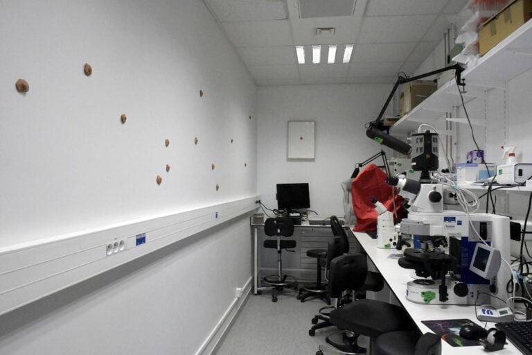 Arianna Carossa, Destiny, installation view, Istituto Pasteur, Parigi, 2025