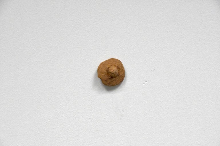 Arianna Carossa, Via lattea (dettaglio)