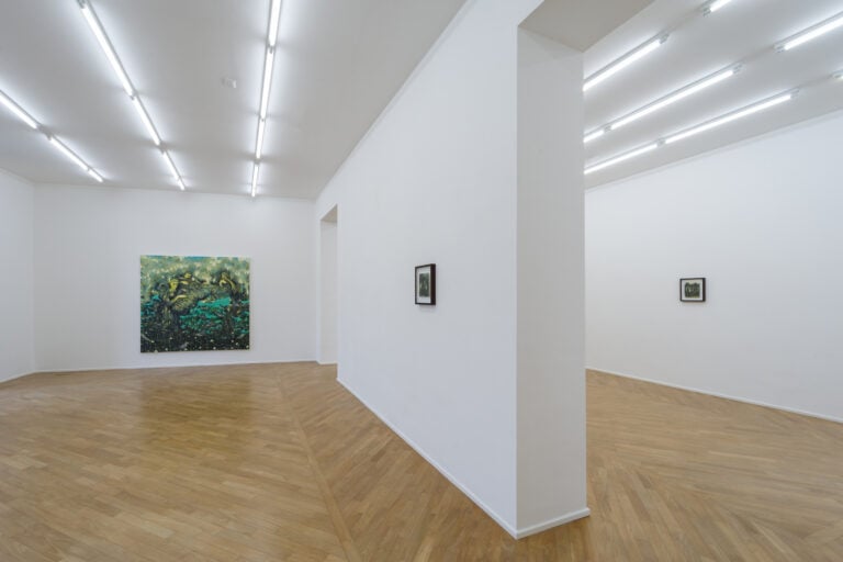 Luca Ceccherini, Il coltello nel noce, exhibition view, Galleria Umberto Di Marino. Photo Danilo Donzelli