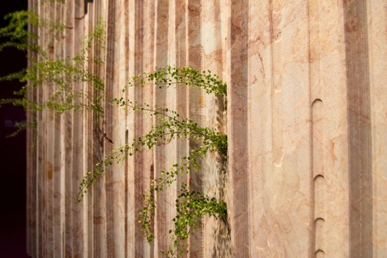 6 maetherea calligrafie ruderali ruderal calligraphies foto cristina morbi Alla Biennale Architettura 2025 si può incontrare un’opera che “accorda” la pietra