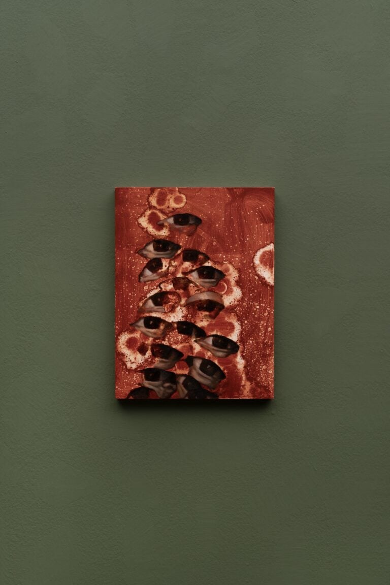 Lewis Hammond, Untitled (Europa, full of holes), 2024
