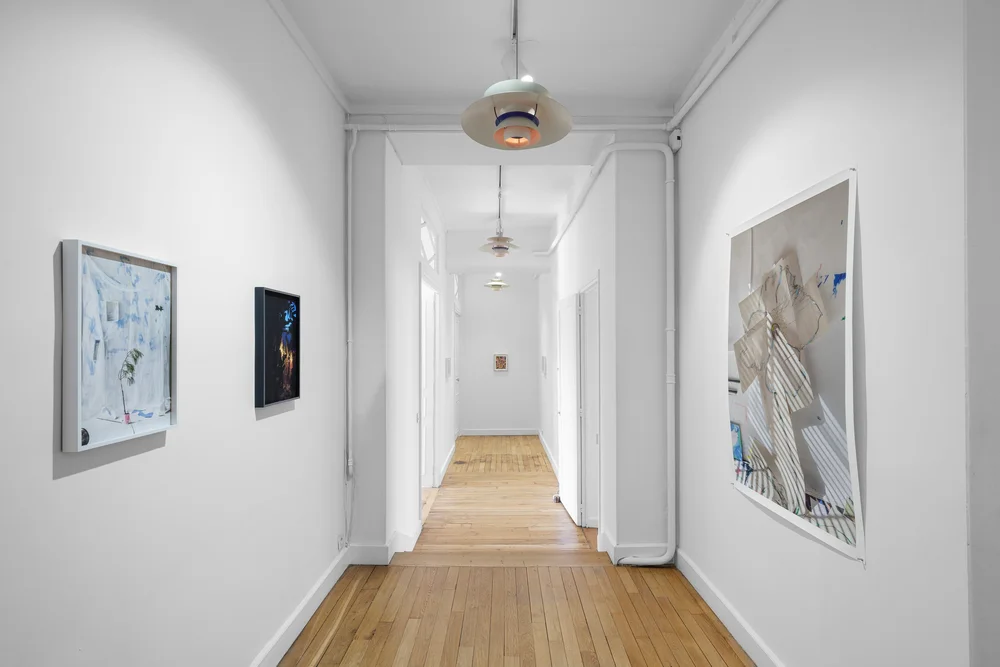 Chris Sharp Gallery a Place des Vosges. Photo Grégory e Copitet