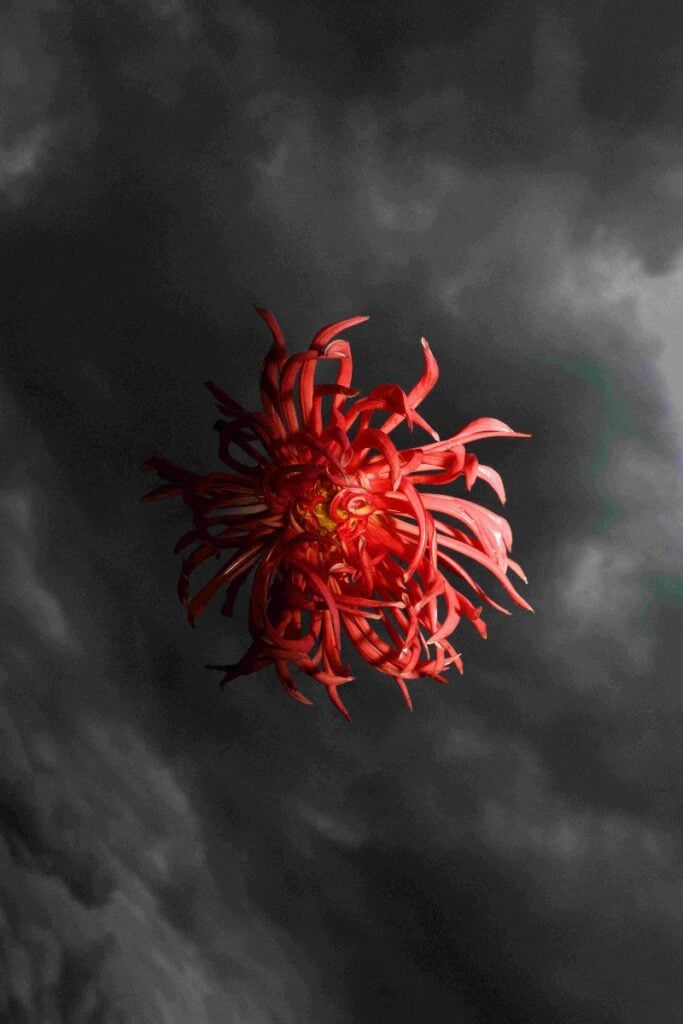 Gaia Anselmi Tamburini – Cieli sonori