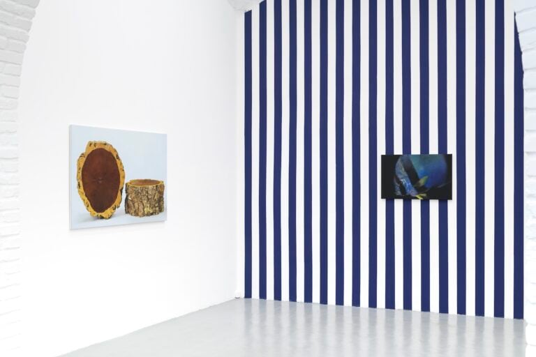 Diogo Pinto, Agenzia, 2025, installation view at Monitor Rome. Photo Giorgio Benni Courtesy the Artist and Monitor