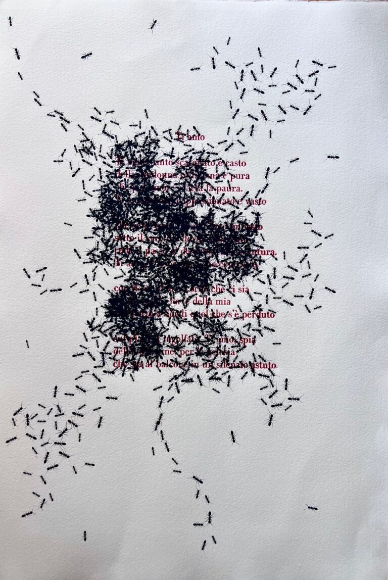 Emilio Isgrò, Ti amo, 2025, acqua forte e acqua tinta su carta Hahnemuhle