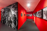 Evolutio, installation view, Museo dell'Ara Pacis, Roma, 2025