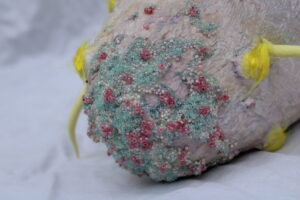 Due punti non fanno una retta. Impermanenze