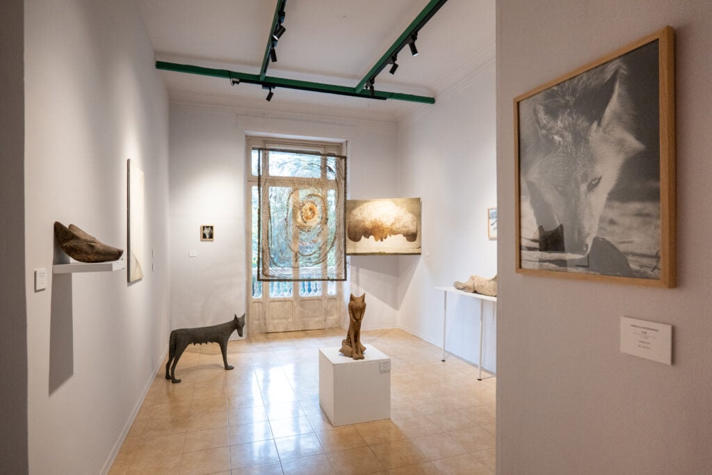 Flashback 2025 - Ciacek