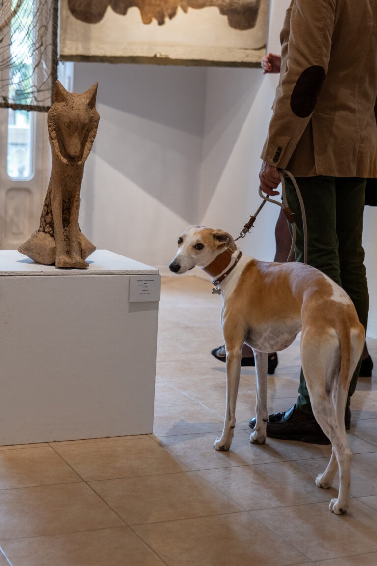 Flashback Fiera, preview