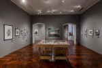 fotosintesi camec anteprima stampa ph irene malfanti 11 In Liguria il centro d’arte contemporanea della Spezia riparte con nuovo direttore e nuova programmazione