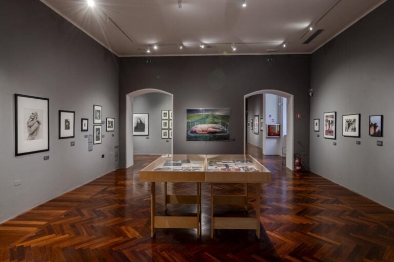 fotosintesi camec anteprima stampa ph irene malfanti 11 In Liguria il centro d’arte contemporanea della Spezia riparte con nuovo direttore e nuova programmazione
